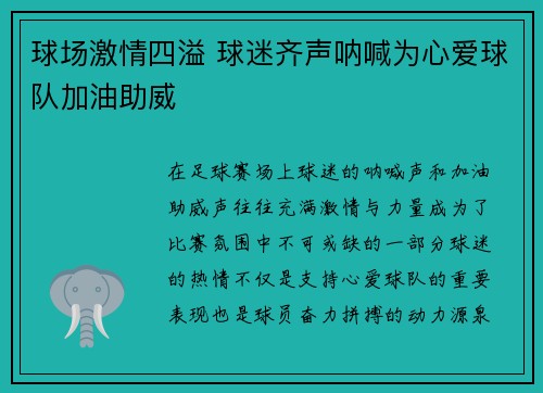 球场激情四溢 球迷齐声呐喊为心爱球队加油助威
